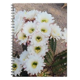 Argentijnse cactus bloemspiraal Notitieboek