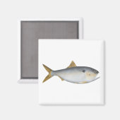 Argentijnse Menhaden Magneet (Voorkant / Achterkant)