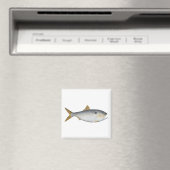 Argentijnse Menhaden Magneet (Insitu (Vaatwasser))