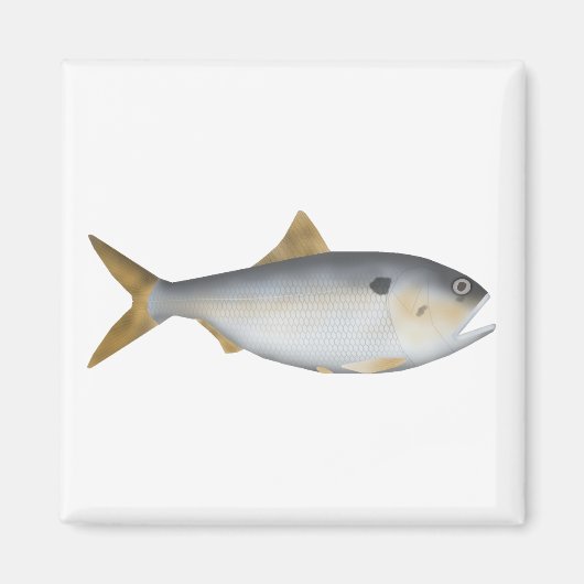 Argentijnse Menhaden Magneet (Voorkant)