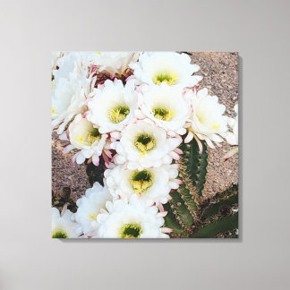 Argentijnse Saguaro Bloemen Canvas Afdruk