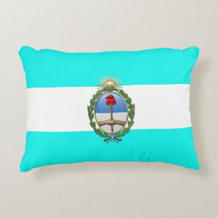 Argentijnse vlag accent kussen