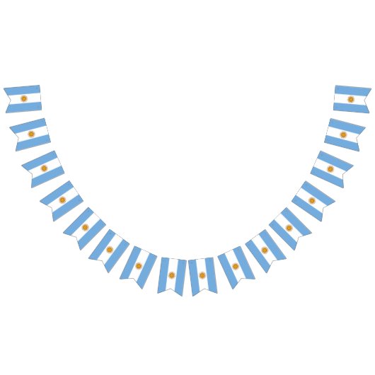 Argentijnse vlag en Argentijnse Partij Banners/bru Vlaggetjes (Alle)