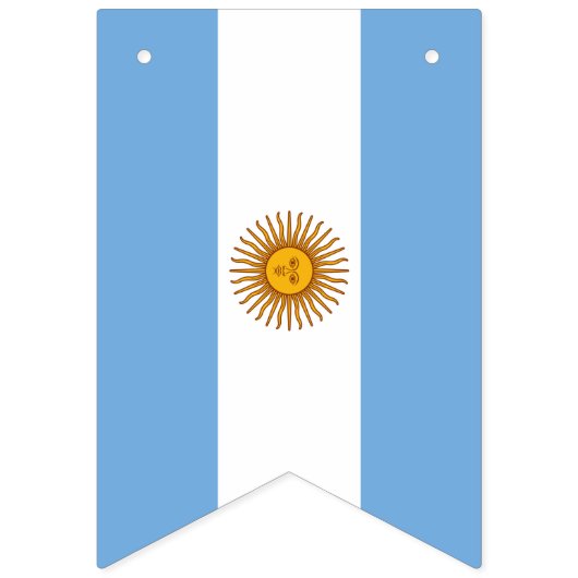 Argentijnse vlag en Argentijnse Partij Banners/bru Vlaggetjes (Eerste vlag)