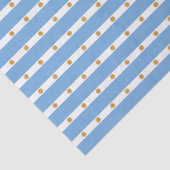 Argentijnse vlag tissuepapier (Detail)
