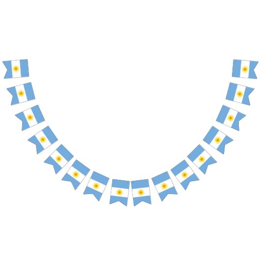 Argentijnse vlag vlaggetjes (Alle)