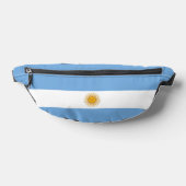 Argentina flag (Poser)