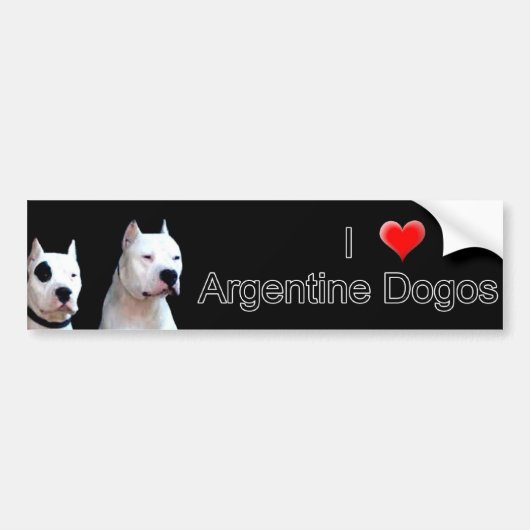 Argentine Dogo Bumpersticker (Voorkant)