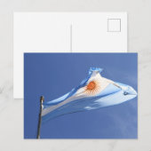 Argentine Drapeau au vent Carte postale (Devant / Derrière)