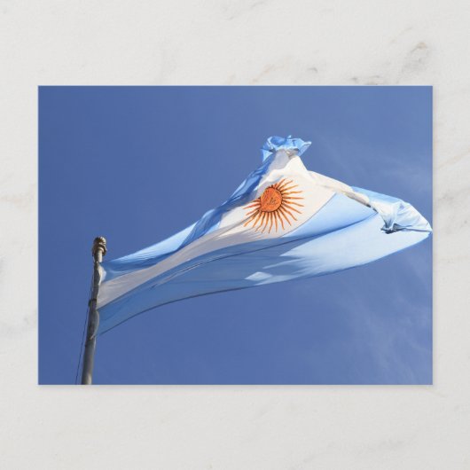 Argentine Drapeau au vent Carte postale (Devant)