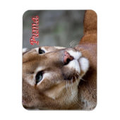 Argentine Puma - Magneet (Verticaal)