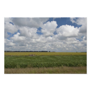 Argentinië, Buenos Aires, San Antonio de Areco. Foto Afdruk