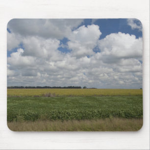 Argentinië, Buenos Aires, San Antonio de Areco. Muismat