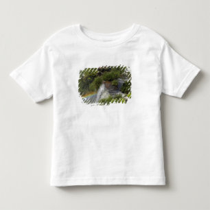 Argentinië, Iguacu-watervallen. Regenboog bij Igua Kinder Shirts