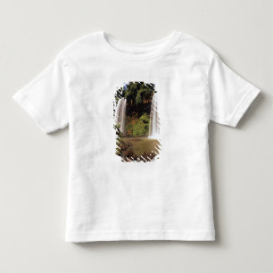 Argentinië, Igwazu, Igwazu watervallen. Salto Dos Kinder Shirts
