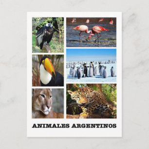 Argentinië - Mosaico Animales Argentinos Briefkaart
