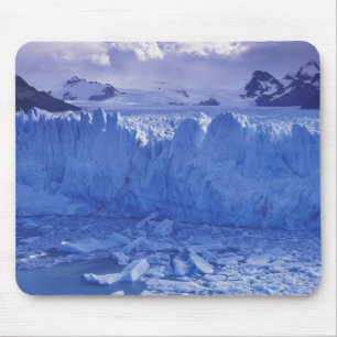 Argentinië, Patagonië, Parque Nacional los Muismat