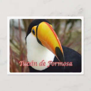 Argentinië - Tucán de Formosa - Briefkaart
