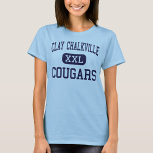 Argile Chalkville - pumas - haut - Pinson Alabama