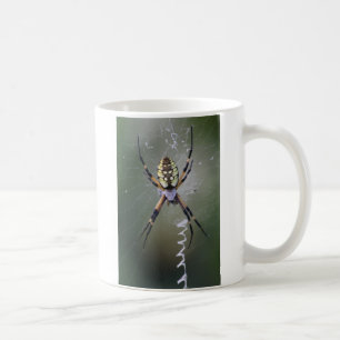 Argiope Aurantia Koffiemok