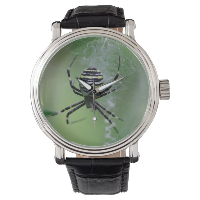 Argiope bruennichi horloge (Voorkant)