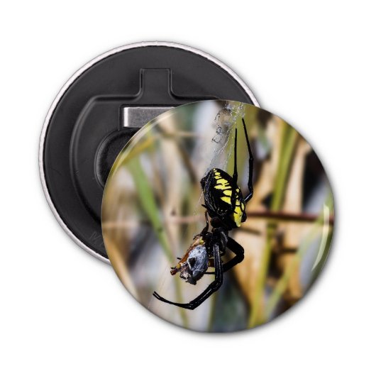 Argiope Garden Spider Magnet Backed Bottle Open Button Flesopener (Voorkant)