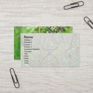 Argiope Orb Weaver Spiers Visitekaartje