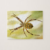 Argiope spin legpuzzel (Horizontaal)