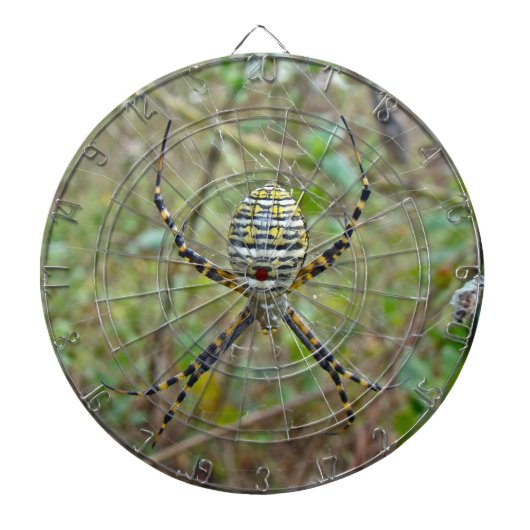 Argiope trifasciata Orb Weaver Spider Dartbord (Voorkant)
