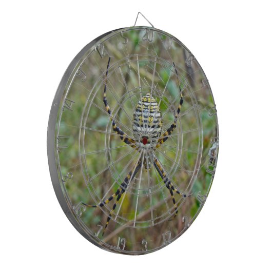 Argiope trifasciata Orb Weaver Spider Dartbord (Voorkant Links)