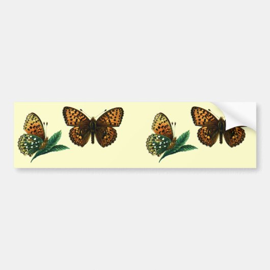 Argynnis aglaja bumpersticker (Voorkant)