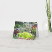 Arid Garden Photo Folded Note Kaart (Voorkant)