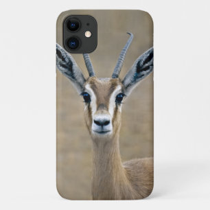 Ariel iPhone 11 Hoesje