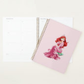 Ariel Planner (Display)
