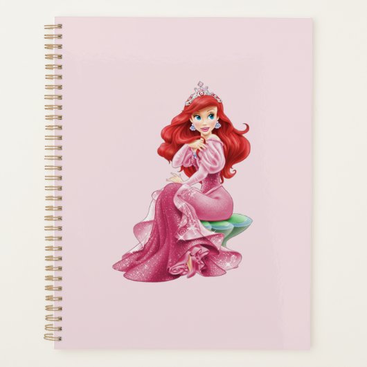 Ariel Planner (Voorkant)