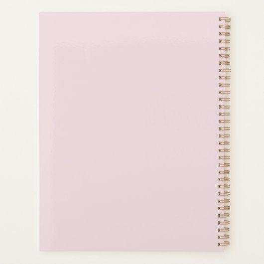 Ariel Planner (Achterkant)