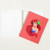 Ariel Planner (Display)