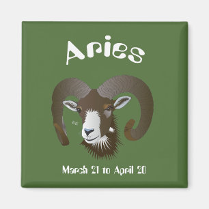 Aries 21 maart tot en met 20 april Magnet Magneet