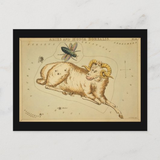 Aries Briefkaart (Voorkant)
