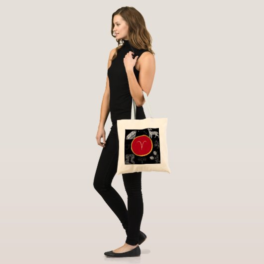 Aries Canvas tas (Voorkant (model))