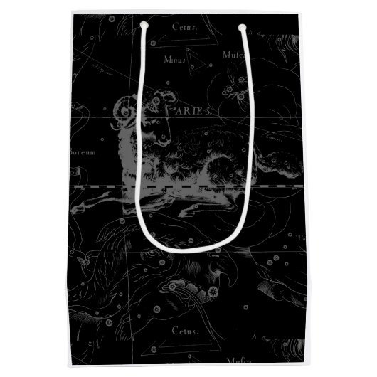 Aries Constellation Map Engraving by Hevelius Medium Cadeauzakje (Achterkant)