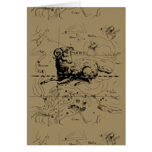 Aries Constellation Map Hevelius 1690 (Voorkant)