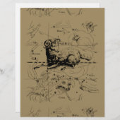 Aries Constellation Map Hevelius 1690 (Voorkant / Achterkant)