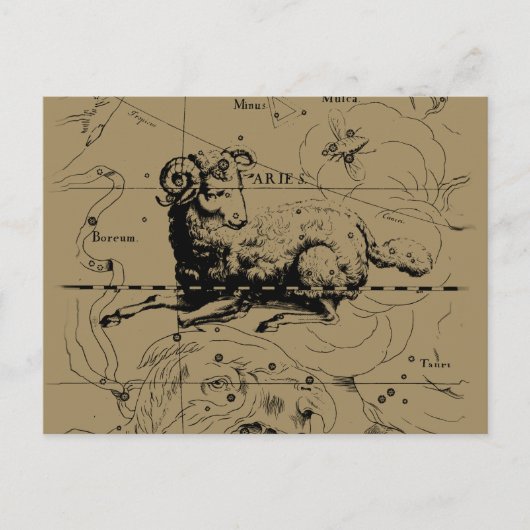 Aries Constellation Map Hevelius 1690 Briefkaart (Voorkant)