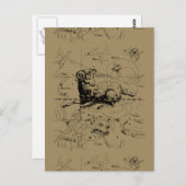 Aries Constellation Map Hevelius 1690 Briefkaart (Voorkant / Achterkant)