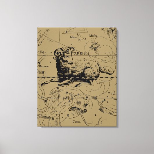 Aries Constellation Map Hevelius circa 1690 Canvas Afdruk (Voorkant)