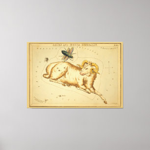 Aries en Musca - teken van het Afbeelding van de Canvas Afdruk