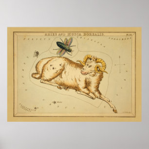 Aries en Musca -  teken van het Afbeelding van de  Poster