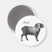 Aries Magneet (Voorkant / Achterkant)