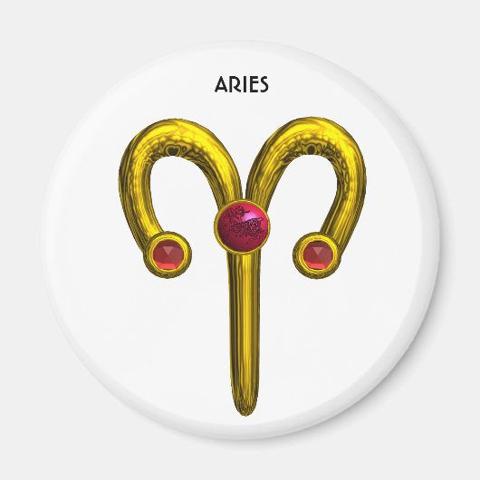 ARIES MAGNEET (Voorkant)